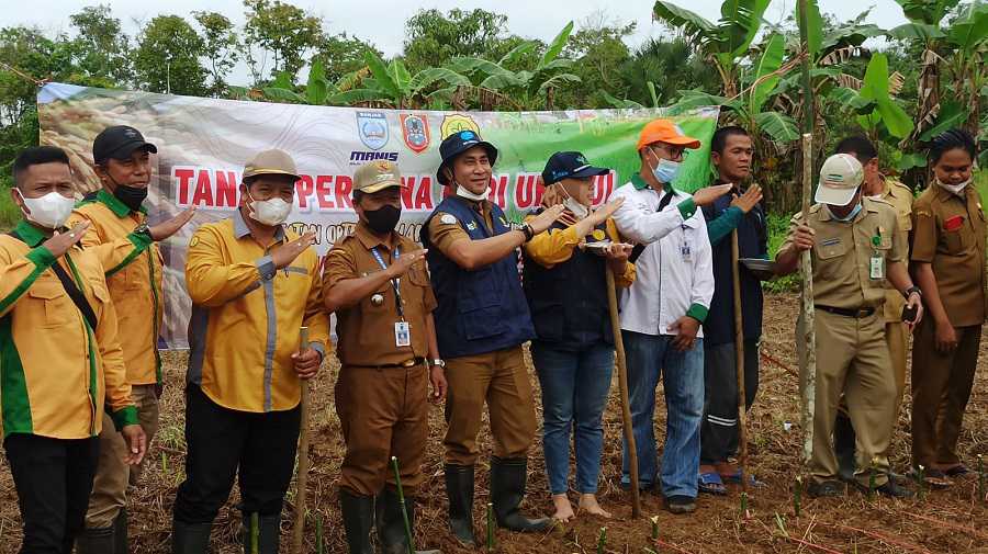 Pemkab Banjar Lakukan Optimasi Lahan di 700 Hektare Lahan